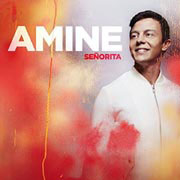 Señorita - Amine