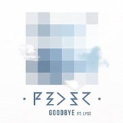 Goodbye - Feder