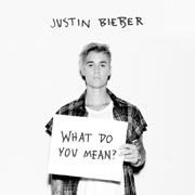 Justin Bieber - What Do You Mean?