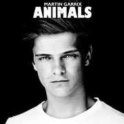 Animals - Martin Garrix