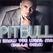 Pitbull - I know you want me