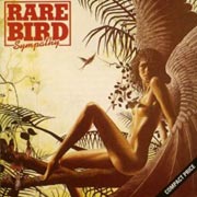 Rare bird - Sympathy