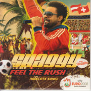 Shaggy - Feel The Rush (Mascots Song)